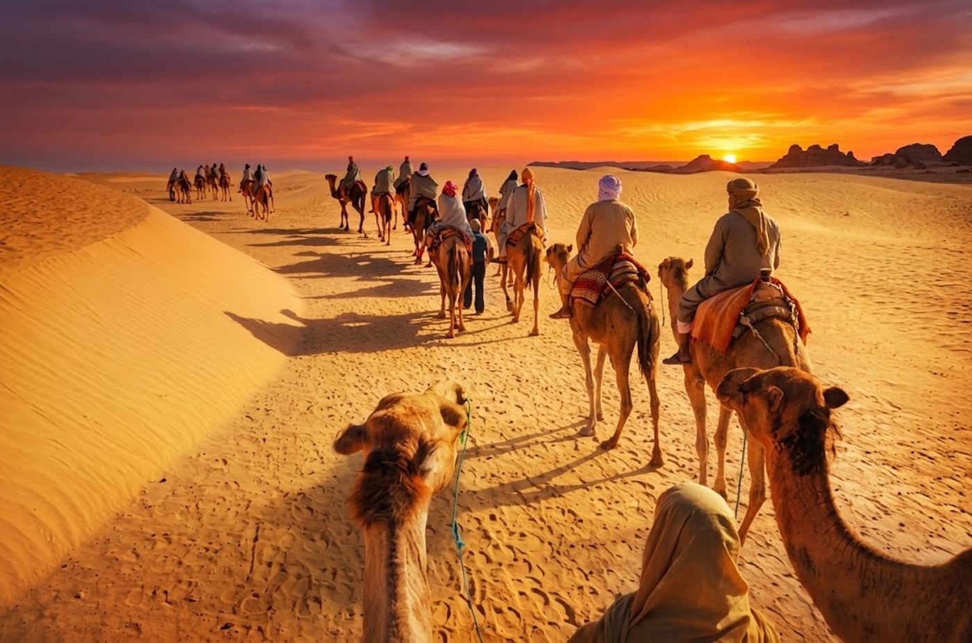 Guests enjoying a traditional Arabian desert experience